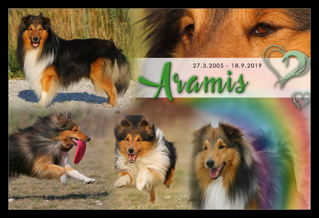 Abschied Aramis